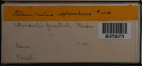 Image Associated With the Occurence